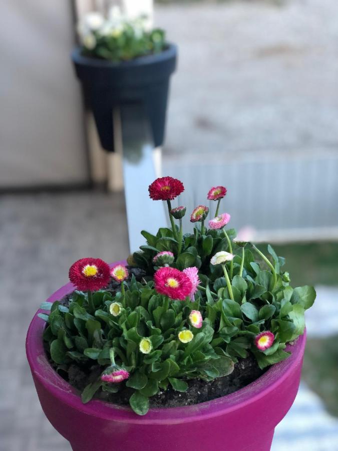 Villa ureki Dış mekan fotoğraf